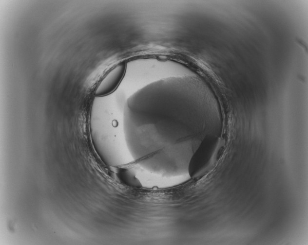 X0000101161455200807251100