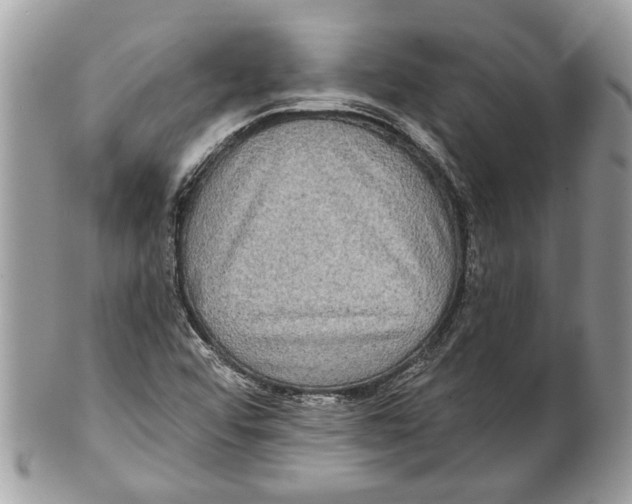 X0000101161456200807251059