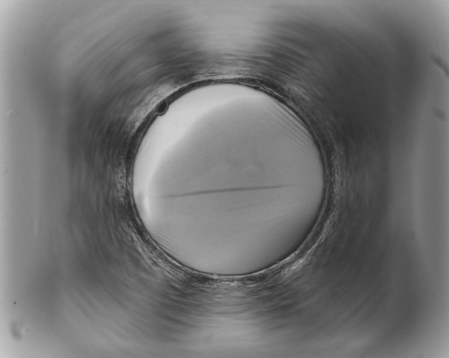 X0000101161457200807251059