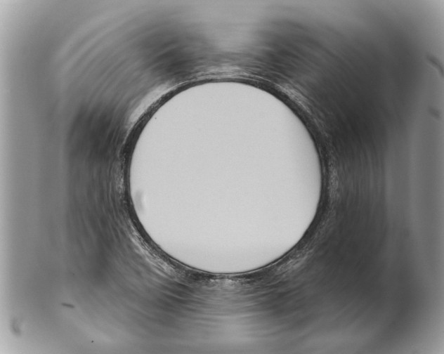 X0000101161458200807251059