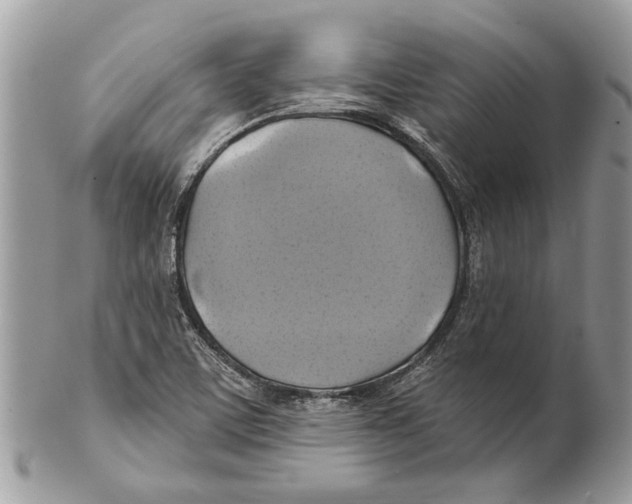X0000101161459200807251059
