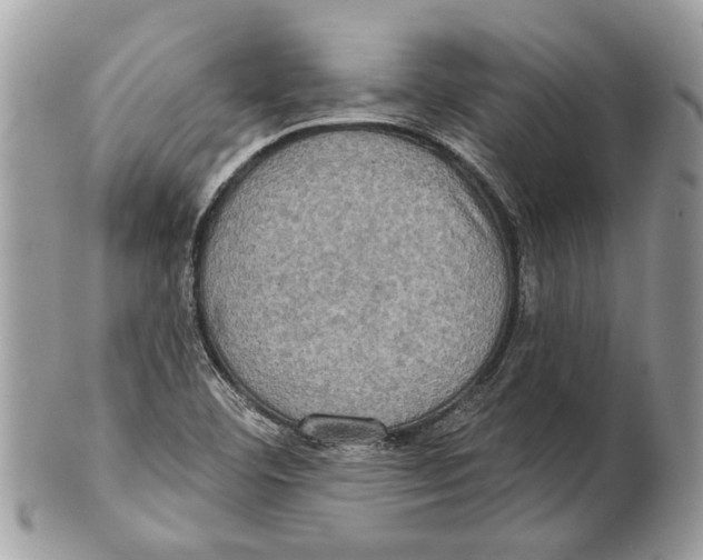 X0000101161460200807251059