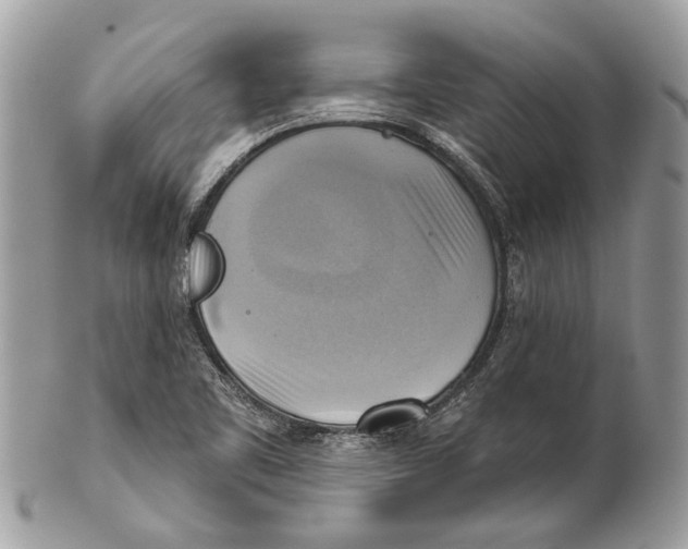 X0000101161461200807251059