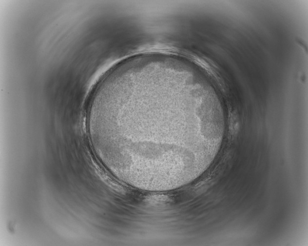 X0000101161462200807251059