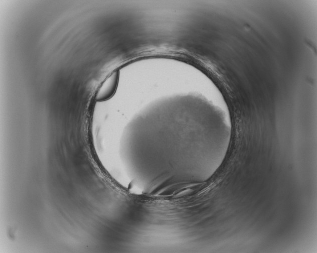 X0000101161463200807251059