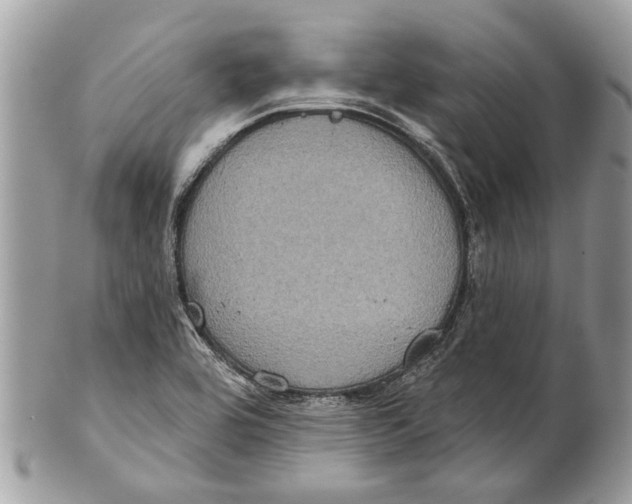 X0000101161464200807251059