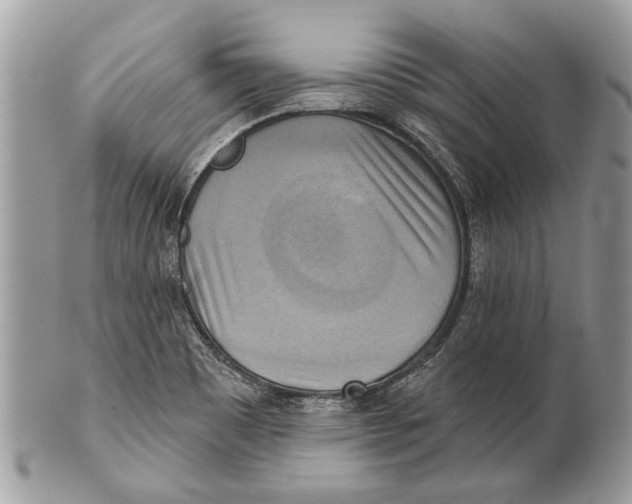 X0000101161465200807251059