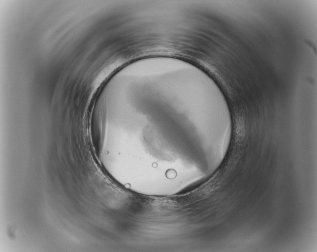 X0000101161466200807251059