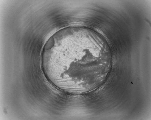 X0000101161467200807251059