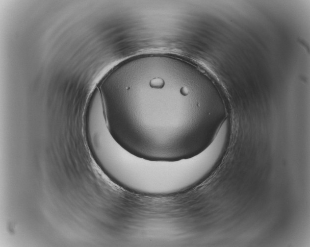 X0000101161468200807251059