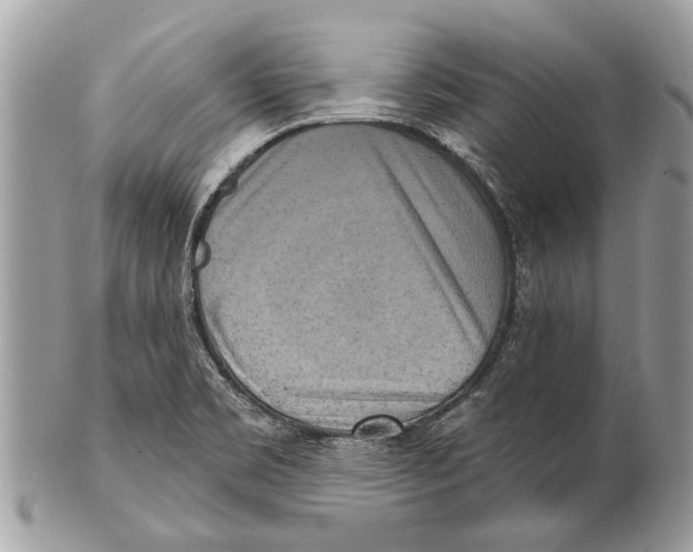 X0000101161469200807251059