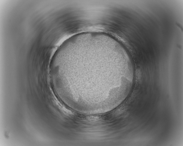 X0000101161470200807251059