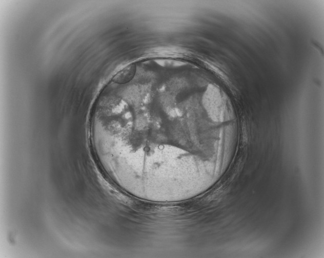 X0000101161471200807251059