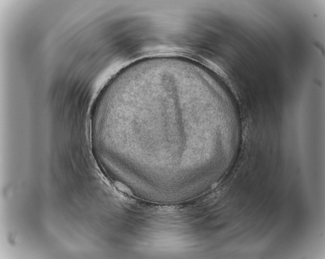 X0000101161472200807251059