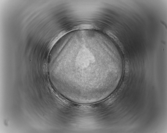 X0000101161473200807251059