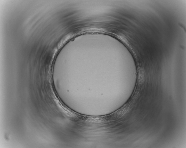 X0000101161474200807251059