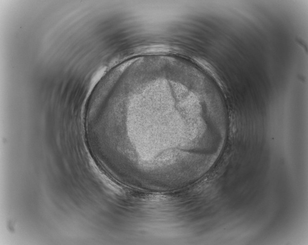 X0000101161475200807251059