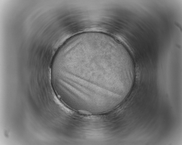 X0000101161476200807251059