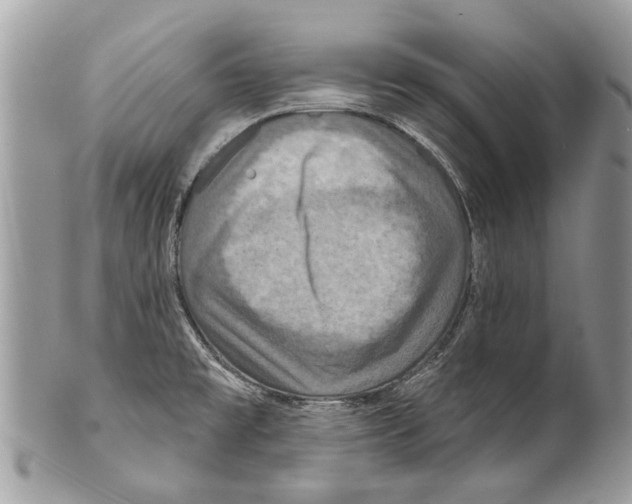 X0000101161477200807251059