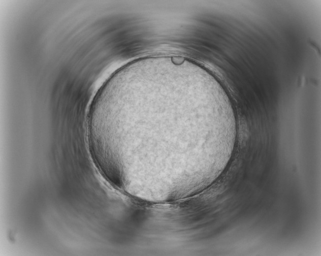 X0000101161478200807251059
