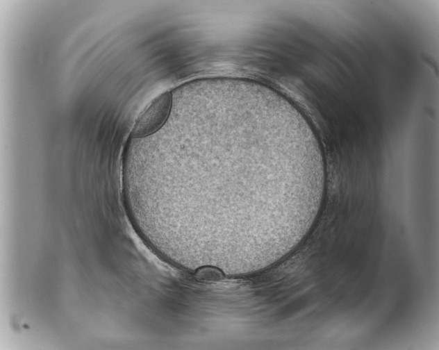 X0000101161479200807251059