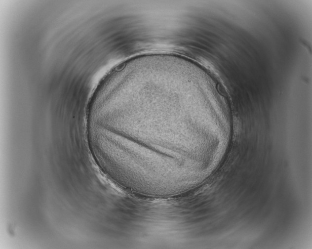 X0000101161480200807251059