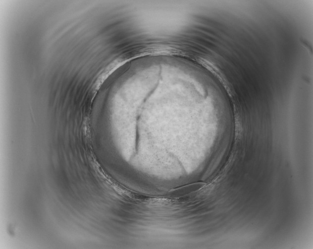 X0000101161481200807251059