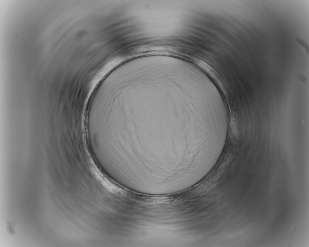 X0000101161482200807251059