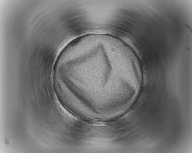 X0000101161484200807251059