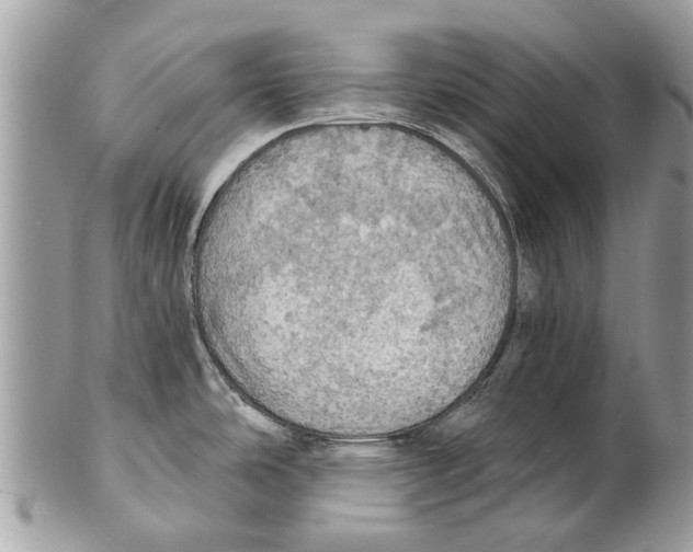 X0000101161486200807251059