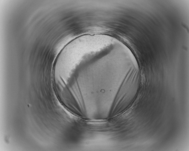 X0000101161487200807251059