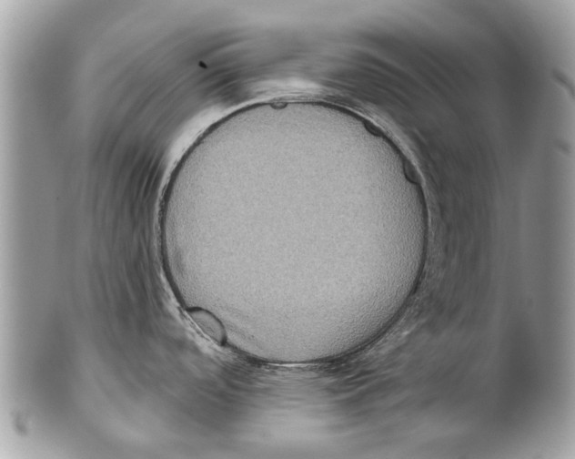 X0000101161488200807251059