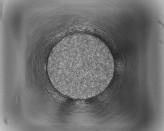 X0000101161489200807251058