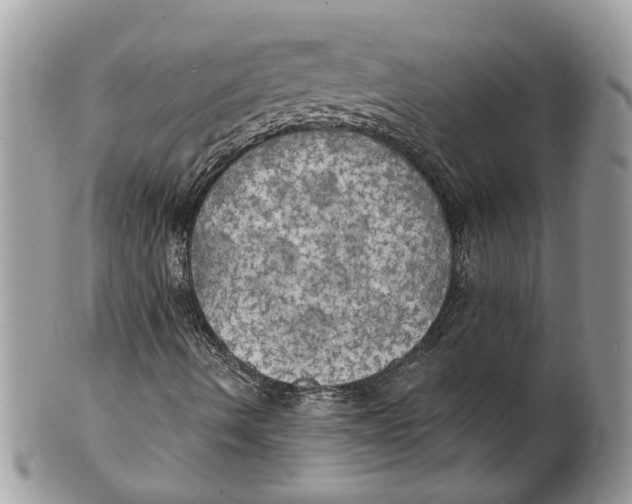 X0000101161490200807251058