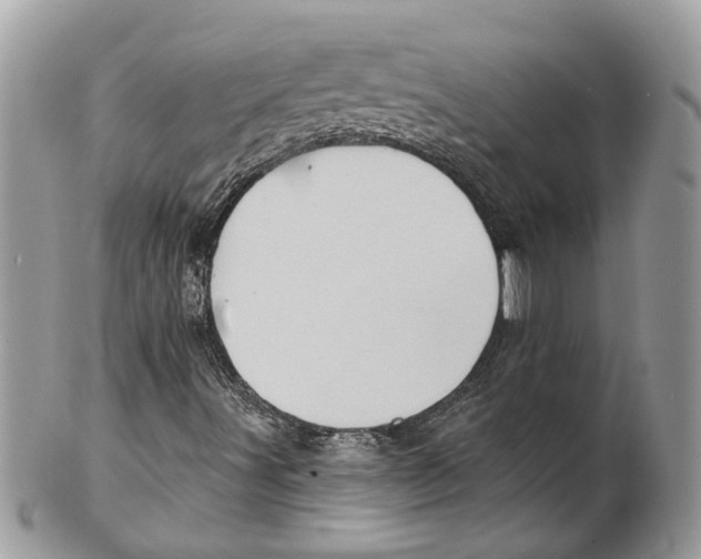X0000101161491200807251058