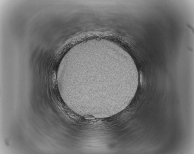X0000101161492200807251058
