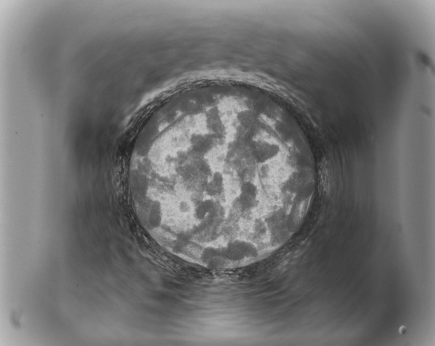 X0000101161494200807251058