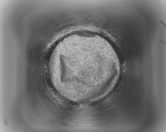 X0000101161496200807251058