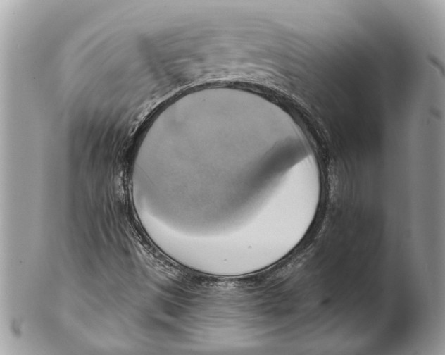 X0000101161497200807251058
