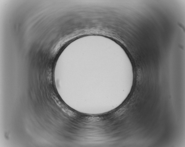 X0000101161499200807251059