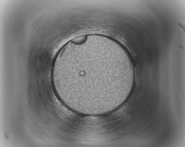 X0000101161500200807251059