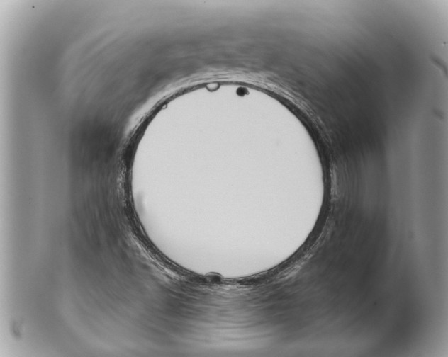 X0000101161502200807251059