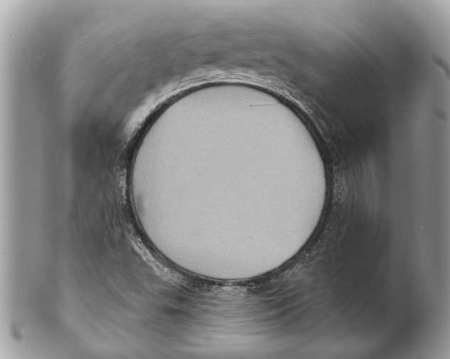 X0000101161503200807251059