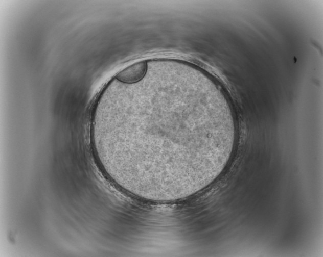 X0000101161504200807251059