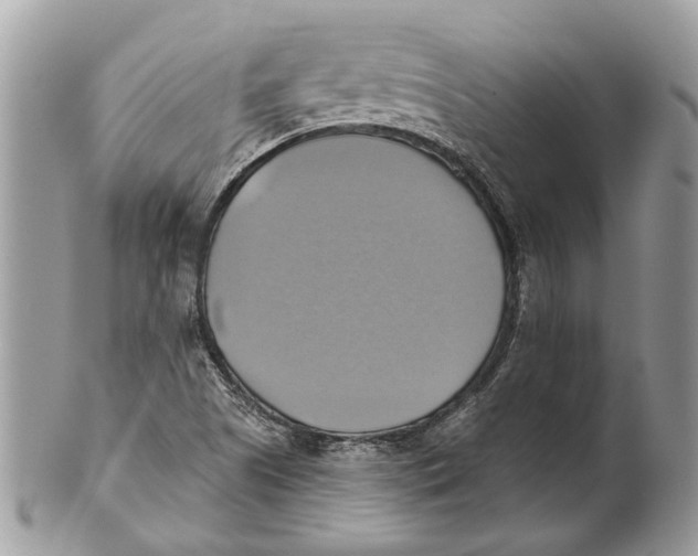 X0000101161505200807251059