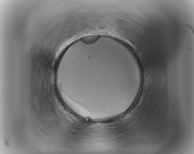 X0000101161506200807251059