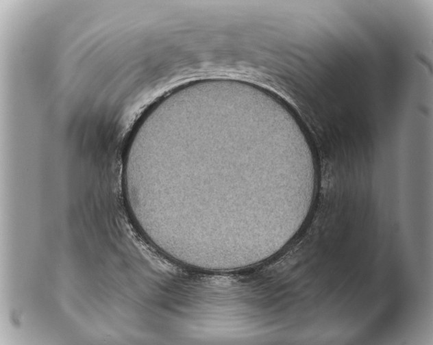 X0000101161507200807251059