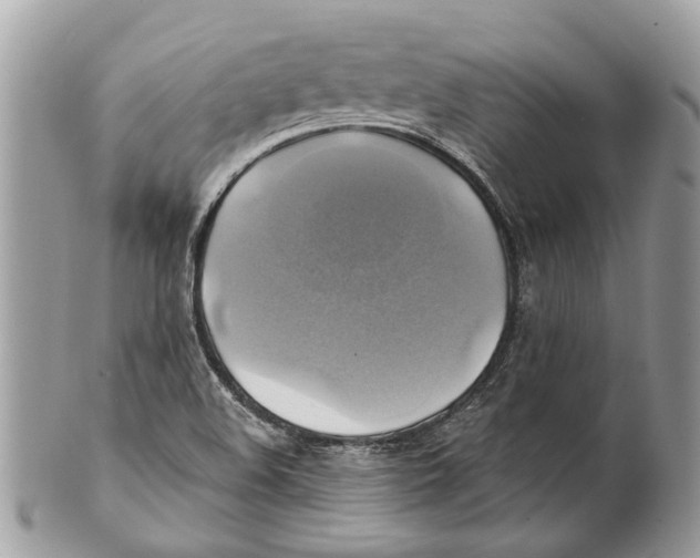 X0000101161508200807251059