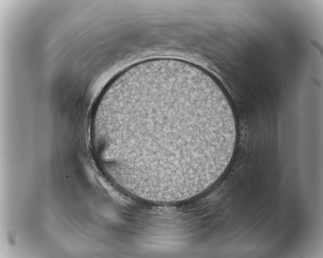X0000101161511200807251059