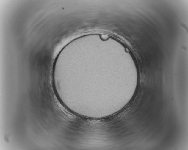 X0000101161512200807251059